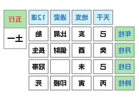 金匱將星時柱|【金匱時柱】 揭開金匱時柱的神秘面紗：解鎖你的命運密碼